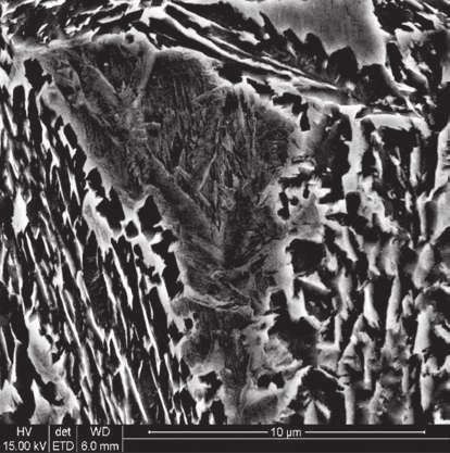 Microstructure of X81 steel after cooling and isothermal annealing at the temperature of 375 C for 16 h a) 500 C/42