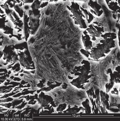 Microstructure of X83 steel after cooling and isothermal annealing at the temperature of 375 C for 3 h a) 350 C/3h: powiększenie 5000 b) 425 C/5h b) powiekszenie 5000 Rys. 9.