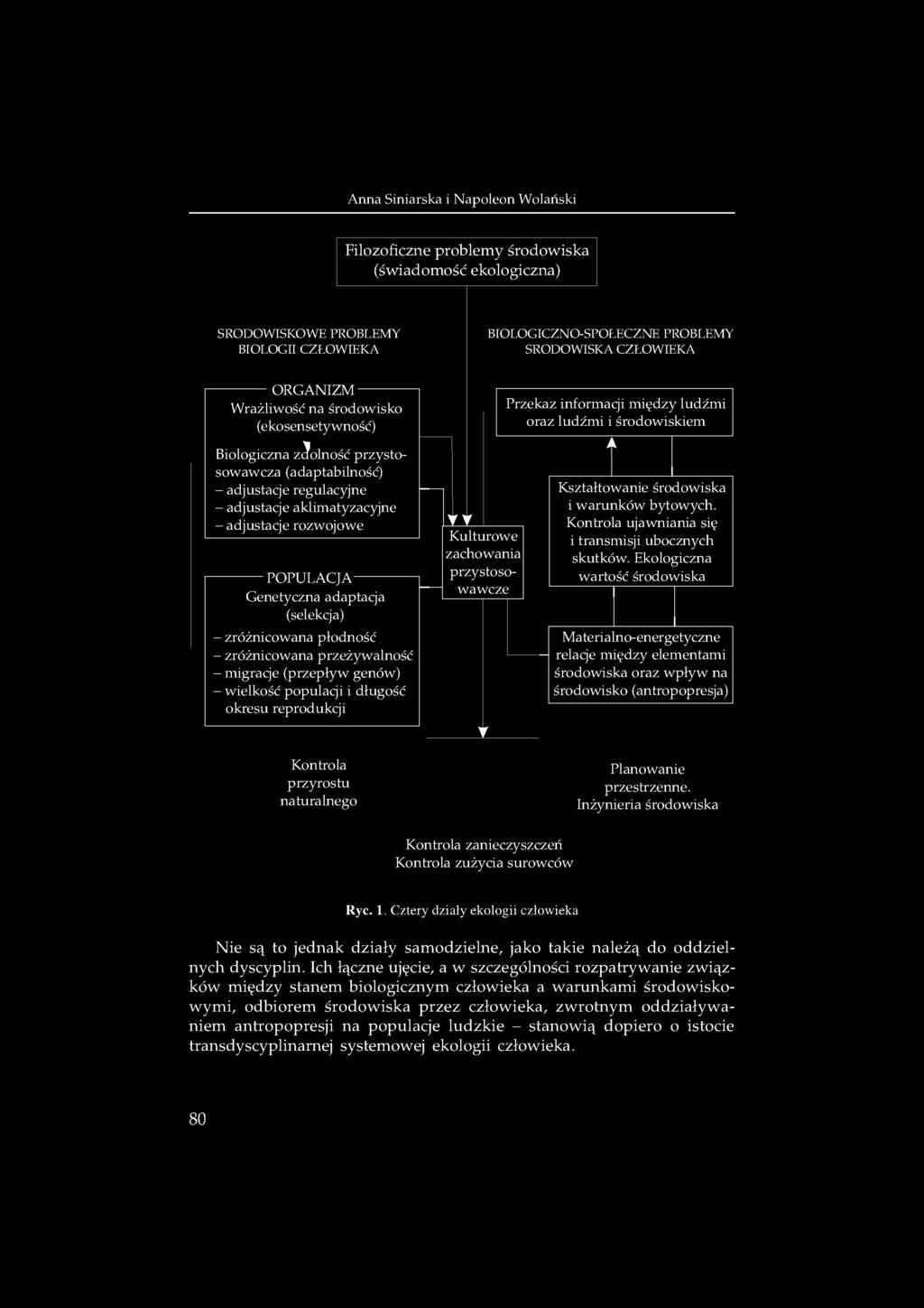 Genetyczna adaptacja (selekcja) - zróżnicowana płodność - zróżnicowana przeżywalność - migraq'e (przepływ genów) - wielkość populaq'i i długość okresu reprodukcji Kontrola przyrostu naturalnego V V