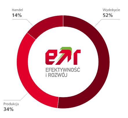 Dążąc do pełnej realizacji strategii, w 2013 r. przystąpiliśmy do wdrażania Programu Efektywność i Rozwój.