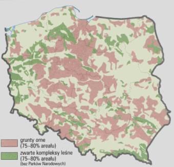 Przyrost biomasy roślin zależy od intensywności nasłonecznienia, biologicznie zdrowej gleby i wody.