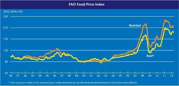 Źródło: FAO online Wzrost cen