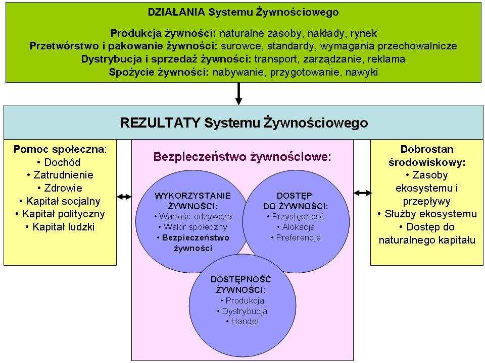 Schemat Systemu Żywnościowego Food system diagram Źródło: