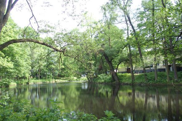 Zespół parkowo - pałacowy, ul. Częstochowska/Parkowa, Parzymiechy Zdjęcie nr 11. Oficyna w zespole Zdjęcie nr 12. Łazienka w zespole Zdjęcie nr 13. Park w zespole Zdjęcie nr 14.