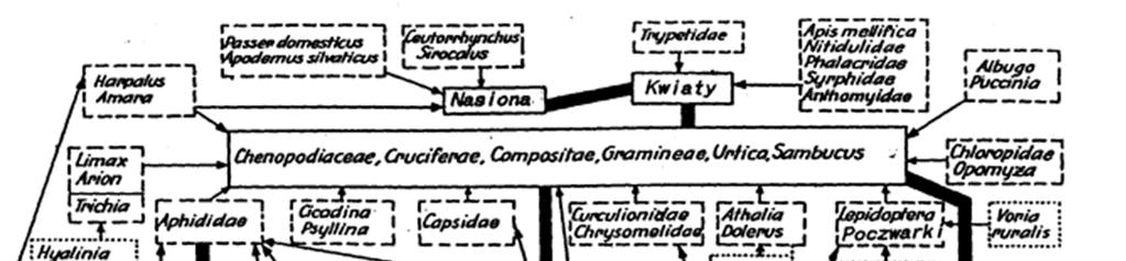 Nieudana próba