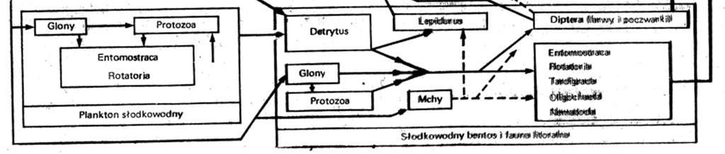 przedstawiający