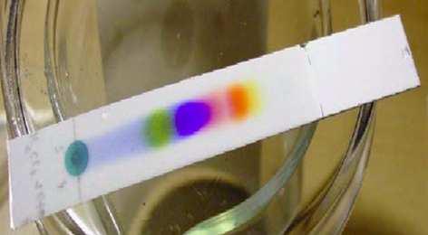 chromatography(tlc) (planarna) odkryta jako bibułowa 1889 (PC) Najczęściej z wykorzystaniem HPLC kierunek przepływu eluentu od góry do dołu Warunki rozdzielania