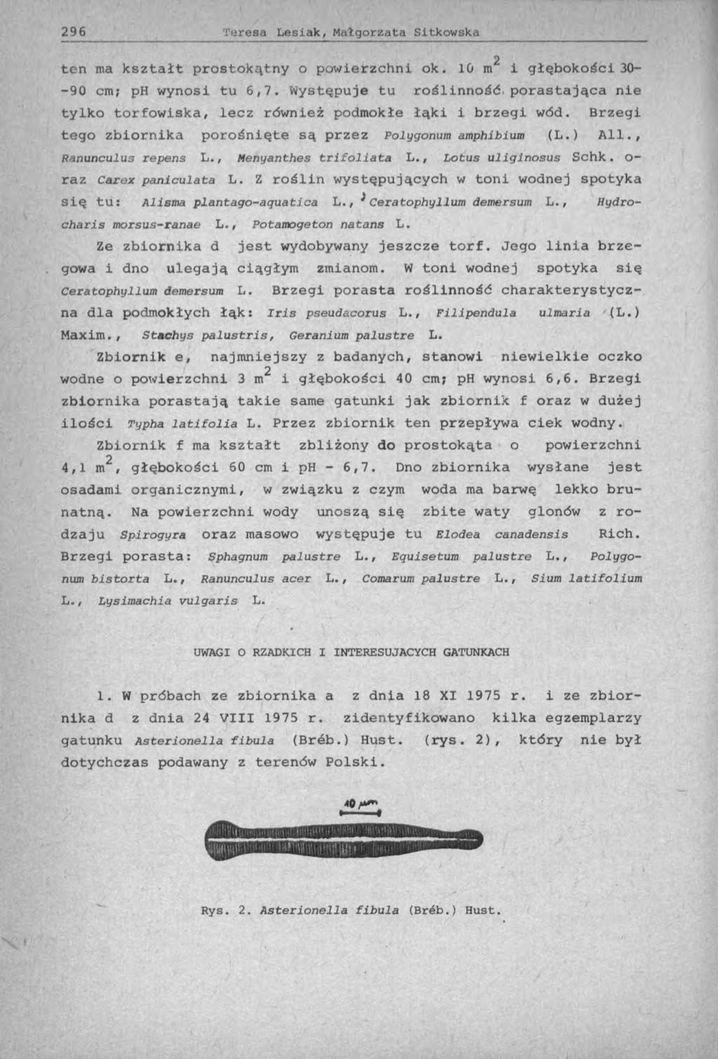 2 ten ma kształt prostokątny o powierzchni ok. 10 m i głębokości 30- -90 cm; ph wynosi tu 6,7. Występuje tu roślinność, porastająca nie tylko torfowiska, lecz również podmokłe łąki i brzegi wód.