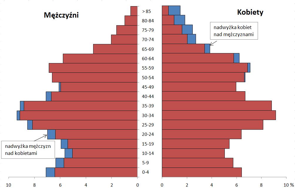 Struktura ludności wg płci i wieku w pozostałych