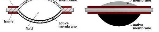 EAP - Actuators Hydrostatically