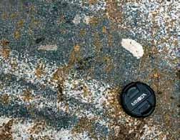 A B C D Ryc. 6. Granitoid porfirowaty (fot. E.