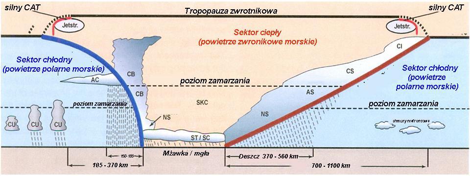 Kiedy to się dzieje to ciepłe powietrze zwrotnikowe wynoszone jest do góry nad front polarny, a powietrze chłodne osiada poniżej powietrza ciepłego.