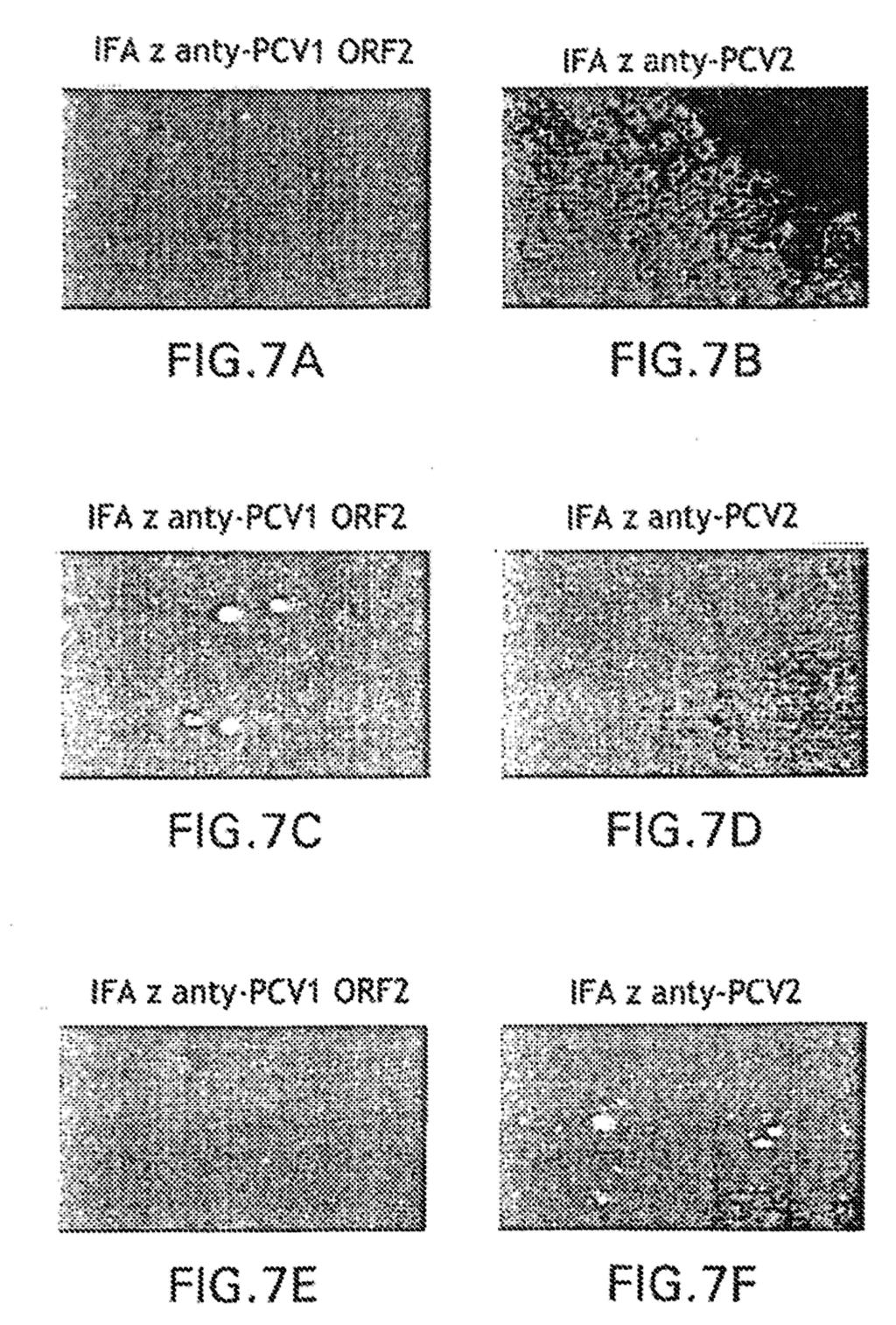 PL 215