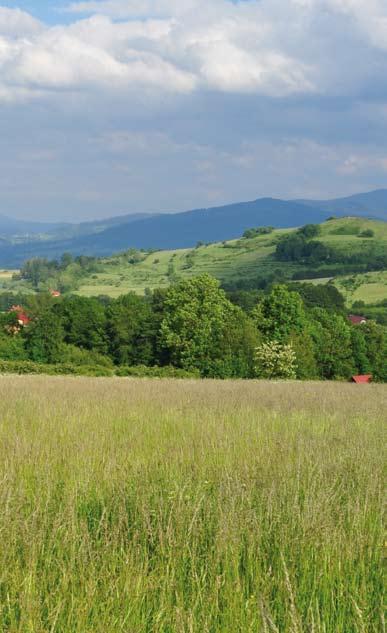 Obszary Natura 2000: PLH240008 Kościół w Górkach Wielkich PLH240007 Kościół w Radziechowach Wiele nietoperzy, w tym gatunki chronione na mocy Dyrektywy Siedliskowej, zakłada kolonie rozrodcze na