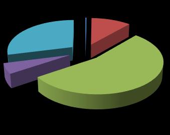 km; 0,3% 22 km; 11% czyste zamulone zarośnięte zadrzewione zakrzaczone 28 km; 17% 19 km; 11% Stan dna rowów - Nadleśnictwo Pieńsk