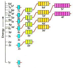 Zapełnianie powłok elektronowych Elektrony w atomie zapełniają powłoki od najniższej, zgodnie z zakazem Pauliego i l = 0 l = 2 l = 3 l = 1 regule Hunda: liczba niesparowanych elektronów w danej