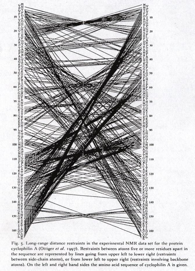 struktury przestrzennej białka metodą NMR Distance