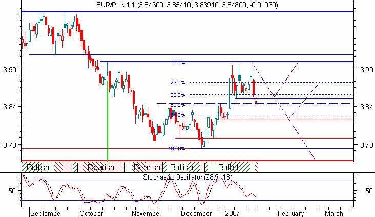 Strona 12