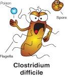 SPORY w 1 minutę* EN 14347, EN13704 Clostridium difficile