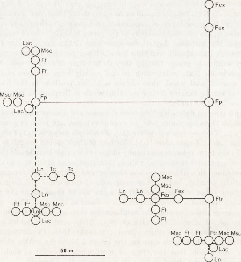 , Fex F. exsccta X v l. ; species of 2nd level: Ln Lasius niger (L.), Tc Tetramorium caespitum (L.); species of 1st level: Msc M yrmica scabrinodis N t l., Lao Leptothorax acervorum ( F a b r.