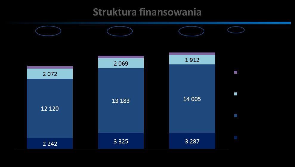 Struktura finansowania i koszt finansowania Struktura