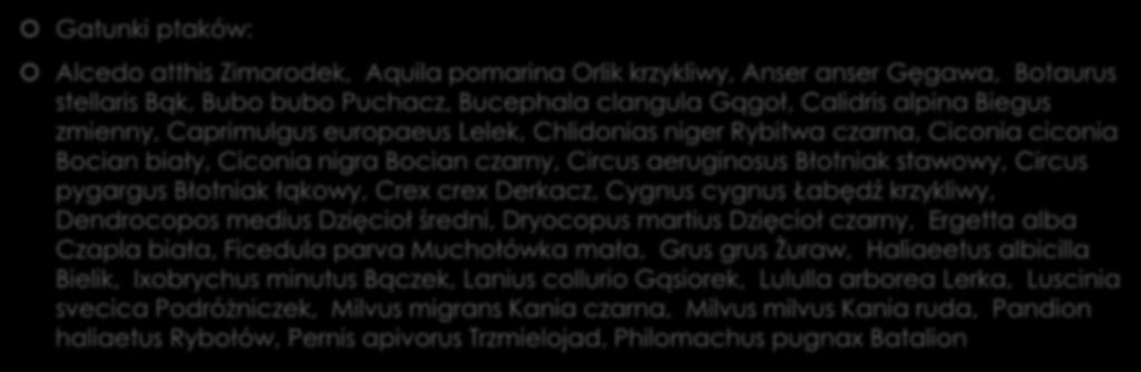 c.d Gatunki ptaków: Alcedo atthis Zimorodek, Aquila pomarina Orlik krzykliwy, Anser anser Gęgawa, Botaurus stellaris Bąk, Bubo bubo Puchacz, Bucephala clangula Gągoł, Calidris alpina Biegus zmienny,