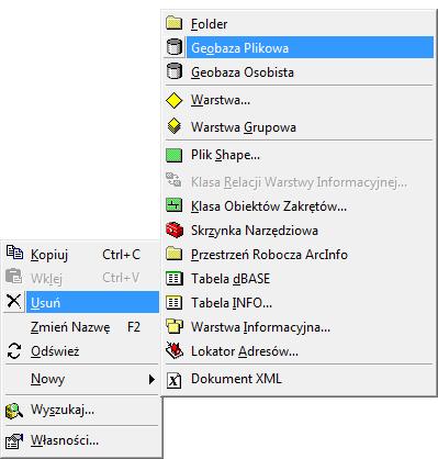 Geobaza przechowuje podstawowe typy geometrii (w klasach obiektów): punkty, linie, poligony, opisy oraz inne elementy (trasy, topologia, relacje, sieci), jak równieŝ rastry, katalogi rastrów oraz