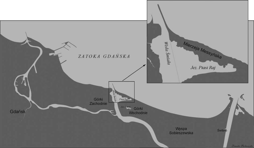 MIERZEJA MESSYŃSKA Mierzeja Messyńska znajduje się na kilometrażu polskiego wybrzeża (57,5 KM 59,4 KM) i oddziela jezioro Ptasi Raj od wód Zatoki Gdańskiej (rys. 1).
