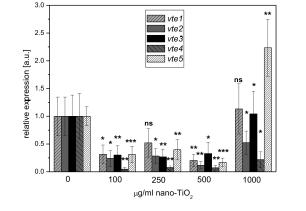 77 Figure 2. Relative expression level of vte genes in Arabidopsis thaliana leaves. Plant seeds were treated with different concentrations of nano-tio 2. Data are means ± SE (n = 5).