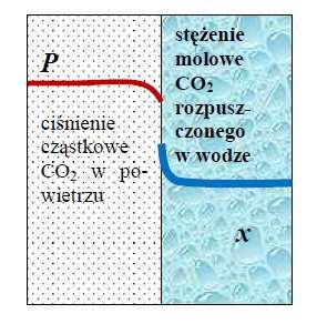 Układy gaz-ciecz dla entuzjastów inżynierii