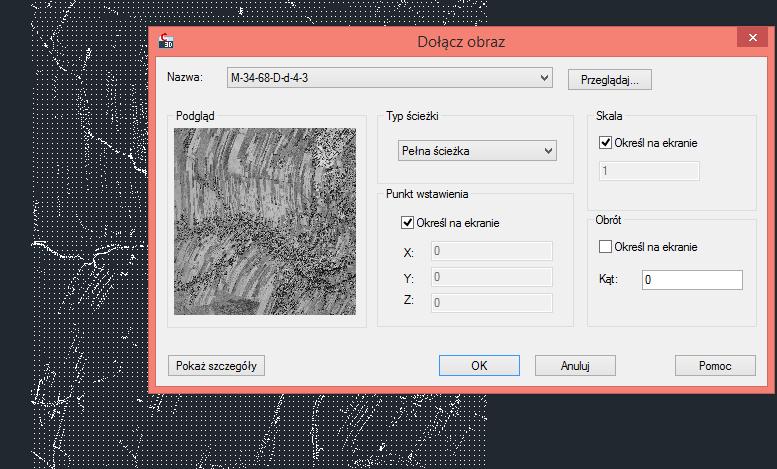 po naciśnięciu polecenia Otwórz, pojawia się menu z podglądem rastra, typem ścieżki, skalą punktem wstawienia, obrotem rastra.