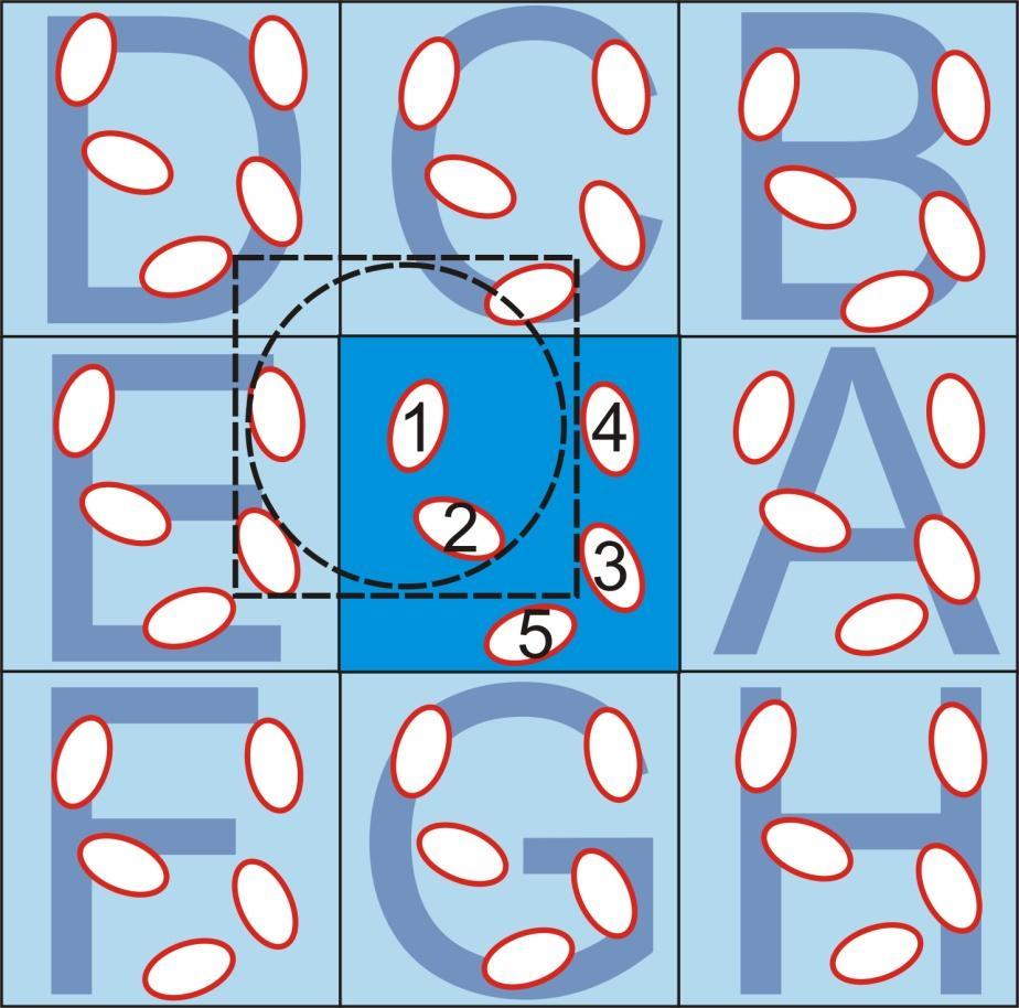 reguła najbliższego obrazu (ilustracja dwu-wymiarowa) Komórka podstawowa zawiera 5 cząsteczek.