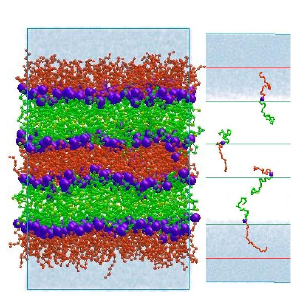 Symulacja samoorganizacji kopolimerów blokowych w nanoskali (10 nm) synteza nanowarstw; poczwórna warstwa