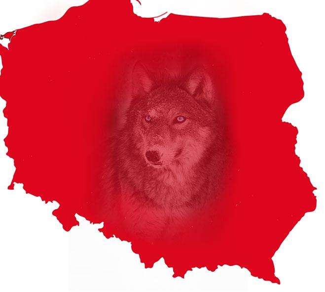 Dział Sprzedaży POLSKA PÓŁNOCNA tel. 570 180 880 polnoc@alphaspirit.pl DZIAŁ SPRZEDAŻY STACJONARNEJ ZAMÓWIENIA tel.