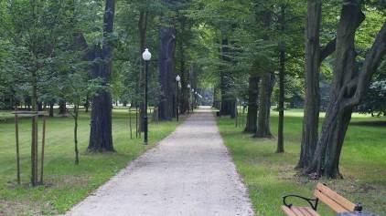 Dziennik Urzędowy Województwa Lubuskiego 48 Poz. 728 Źródło: www.park.ilowa.pl Fot. 52 Aleja grabowo-dębowa w parku dworskim w Iłowej Źródło: www.msw-pttk.org.pl Fot. 53 Dąb Chrobry Wiele z parków znajduje się w złym stanie i kwalifikuje się do rewaloryzacji.