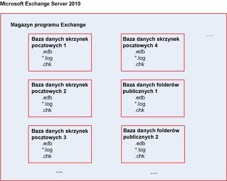 2013. Elementy danych, które można uwzględnić w kopii zapasowej na poziomie bazy