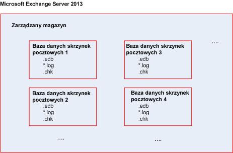 5.2 Jakie elementy danych mogą być uwzględniane w kopiach zapasowych i jakie typy kopii zapasowych są wykorzystywane?