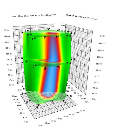 Obraz wnętrza pnia w badaniu tomografem sonicznym na badanych 3 poziomach 50 cm, 110 cm i 150 cm Rys. 2-9 Kasztanowiec 2, Pl. Kościeleckich, Bydgoszcz.