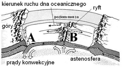 Podaj dwa przykłady zjawisk lub procesów geologicznych, występujących na granicy płyt litosfery na obszarze przedstawionym na rysunku. Wyjaśnij genezę jednego z nich.