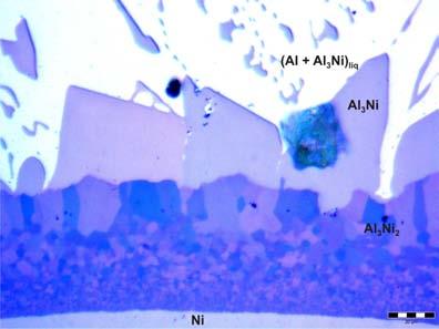 Microstructure of Al/Ni couple after wettability test (CP: 700 C, 5 min), magnification 500x (Al + Al 3 Ni) eut Al 3 Ni Al 3 Ni 2 Ni Rys. 14.