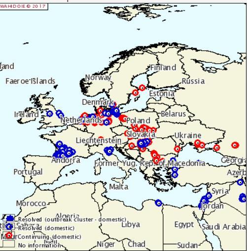 HPAI w Europie (1.