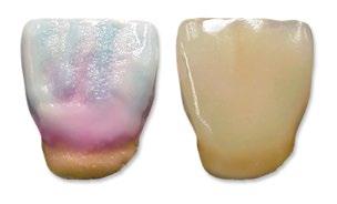 Farbki Universal Stains & Glaze Farbki Universal Stains&Glaze przeznaczone są do dobarwiania każdego rodzaju ceramiki, w szczególności prac pełnokonturowych, z tlenku cyrkonu