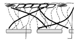 3 Model transportu lipoprotein w ścianie tętnicy a b Glikokaliks Śródbłonek Intima IEL c monomer proteoglikanu włókno kolagenowe (rcg = 20 nm) GAG (rg = 0.