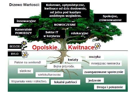 Ważne miejsce w promocji na szczeblu Województwa Opolskiego zajmuje Program Odnowy Wsi - do którego należą sołectwa każdej z gmin Powiatu Nyskiego, Program Leader+ - w ramach którego utworzone