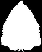 POŻARNEJ W