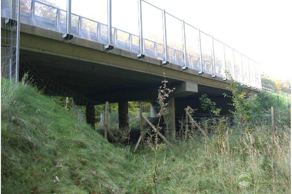 Przejścia dolne dla średnich zwierząt pod drogą krajową DK 3 (obwodnica Międzyzdrojów) dobrze zlokalizowane i zaprojektowane obiekty, w