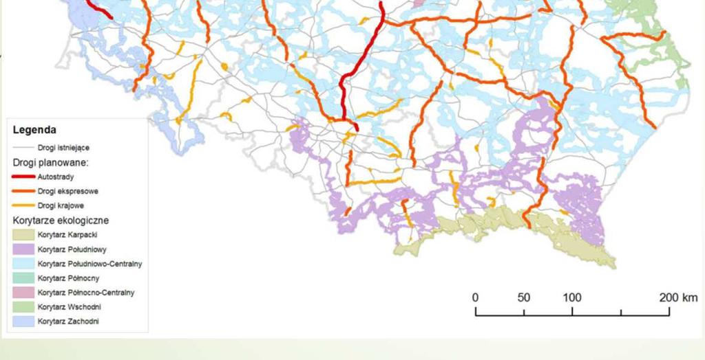 przebiegu liniowym, położone między płatami obszarów siedliskowych.