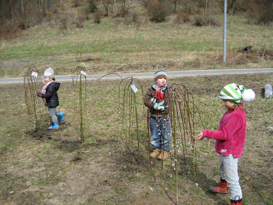 Zgodnie z wykonanym projektem, mieszkańcy