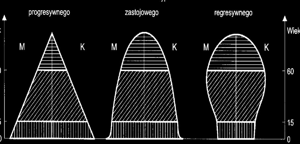 Typy struktur wieku ludności (G.