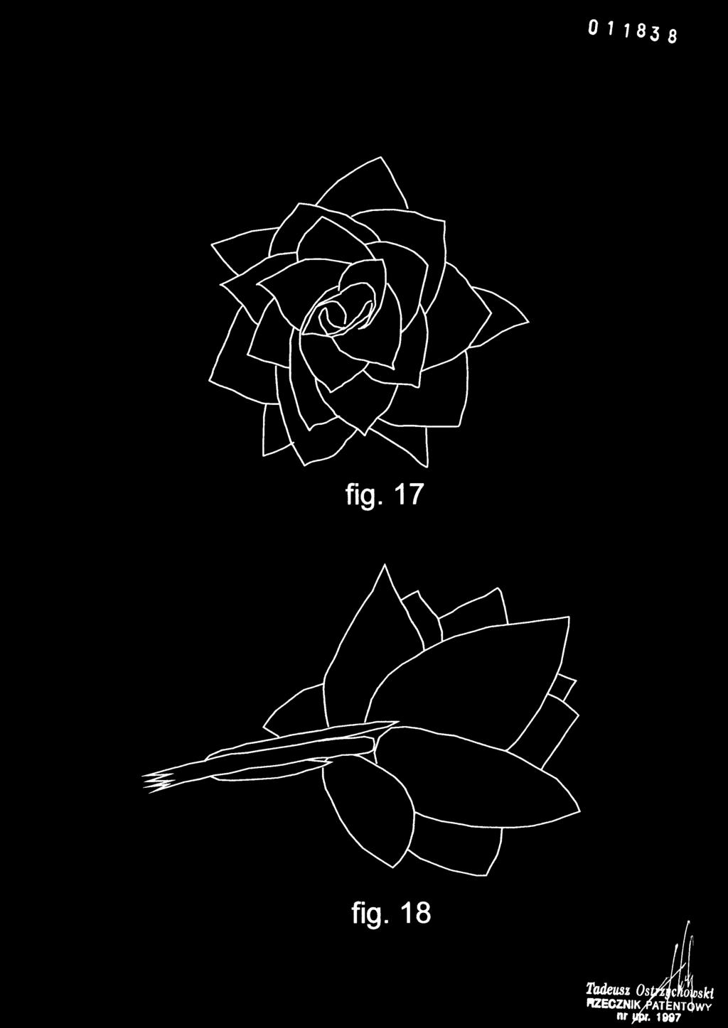 fig. 17